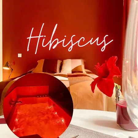 Appartement Hibiscus - Balneo - Netflix & Chill à Montargis Extérieur photo