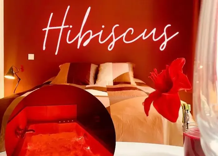 Hibiscus - Balneo - Netflix & Chill