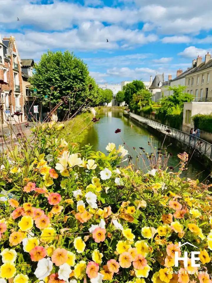 Hibiscus - Balneo - Netflix & Chill Montargis